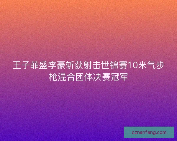 王子菲盛李豪斩获射击世锦赛10米气步枪混合团体决赛冠军